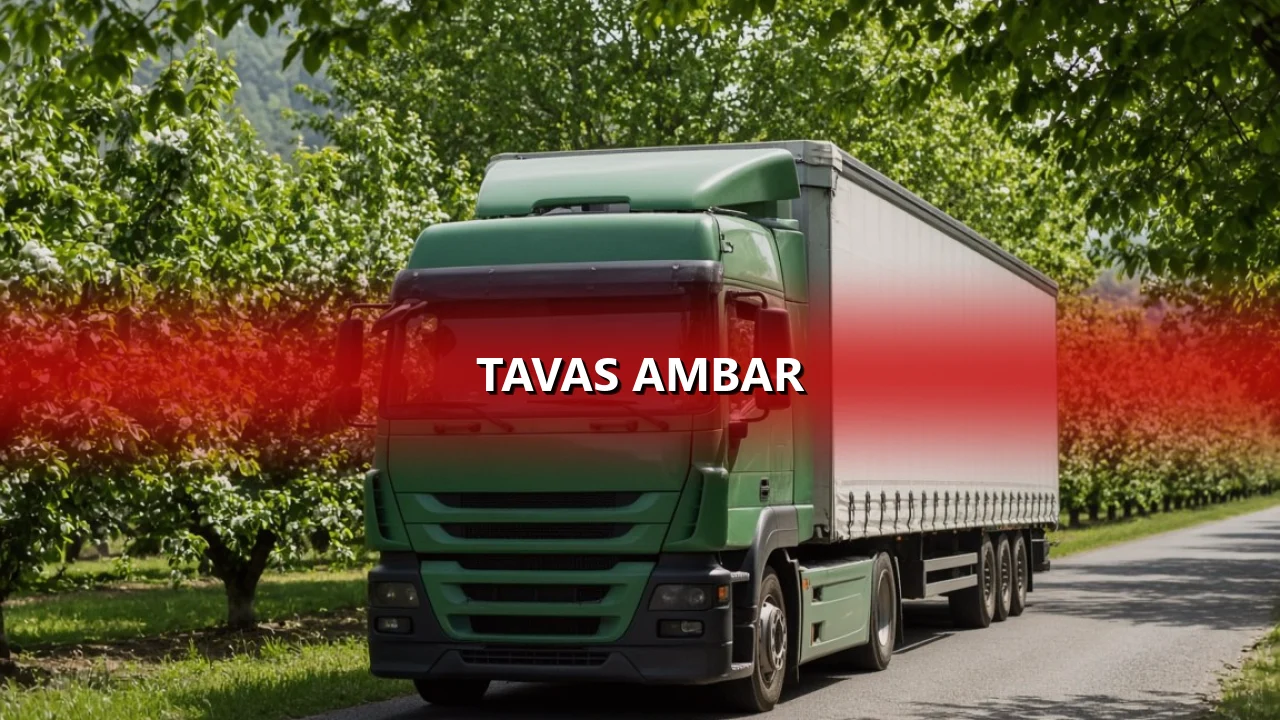 Tavas Ambar